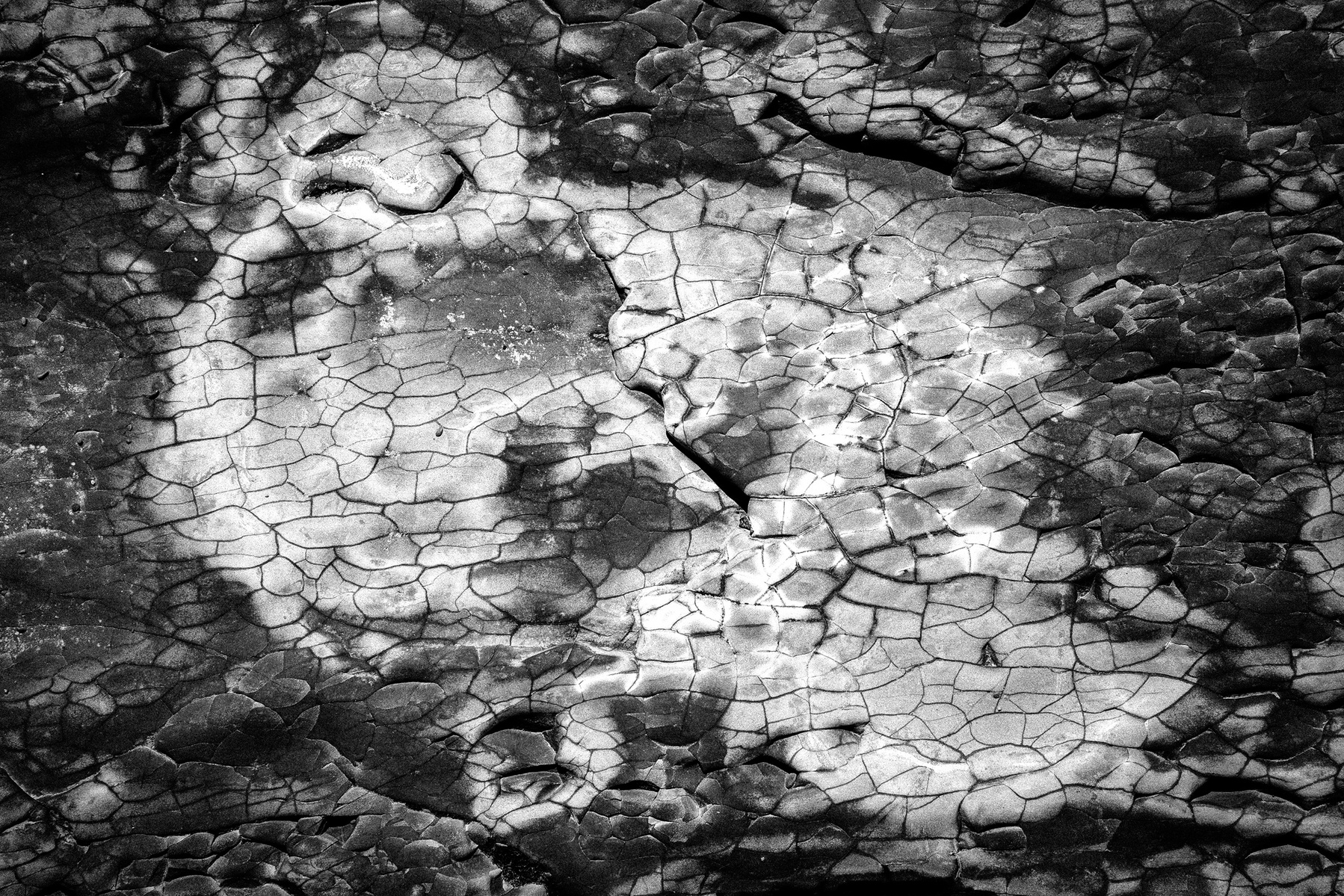 “Playgrounds for the Mind”