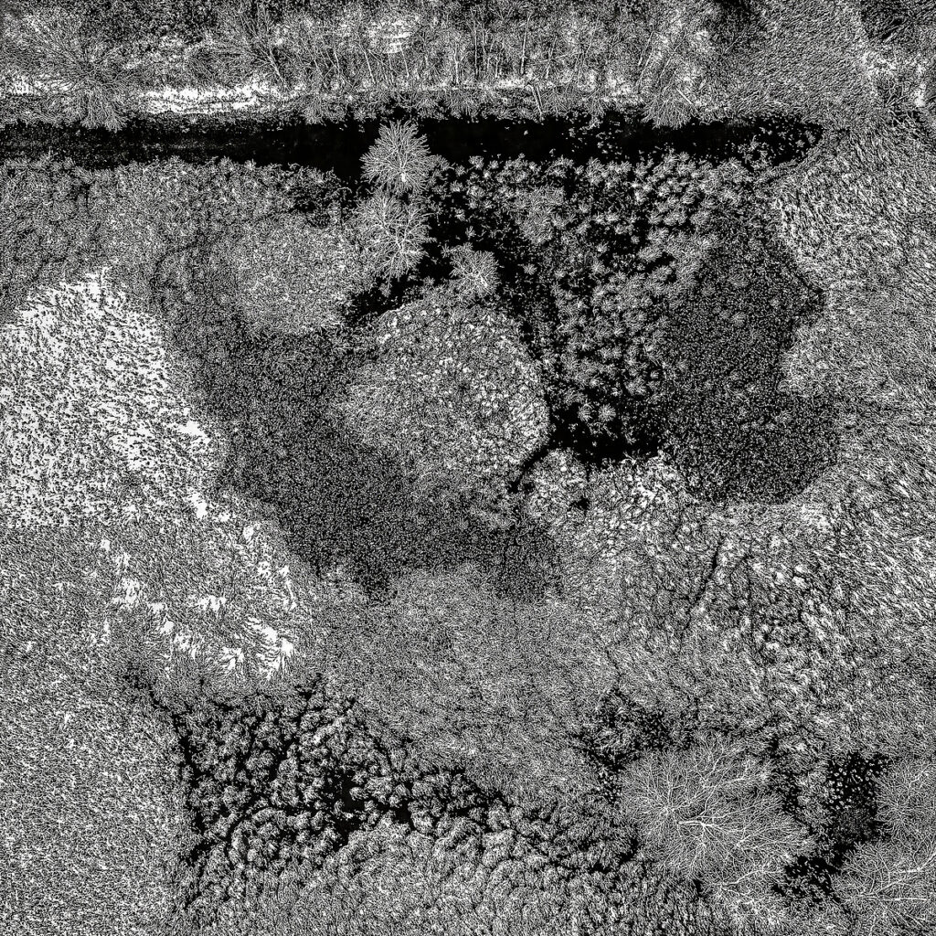 EHanoverWetland_comp-12x12-HR (9)