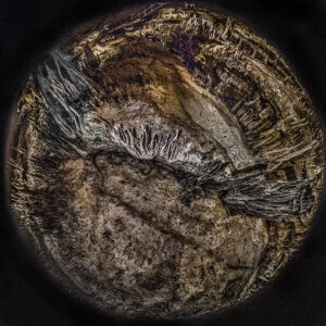 3.Fiction_Anthropocene_Ruins.4.Steeplechase_Course.MR