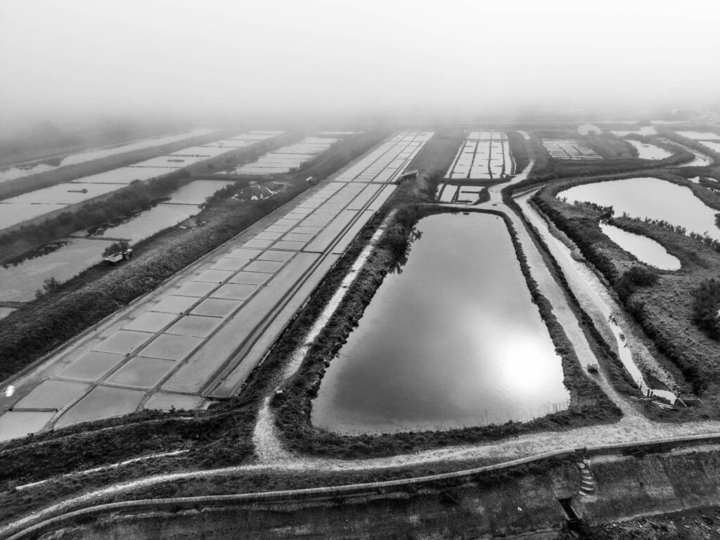 compressed_0.BKG.DroneStills.Ile_de_Ré,HR.12x9.24