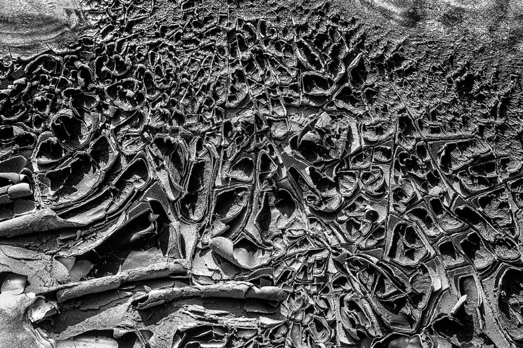 compressed_1.ABSTRACTION_BistiBadlands.MMArrabbiata2.HR.8.5x11