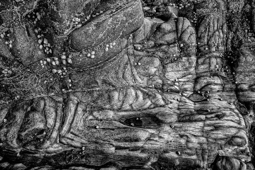 compressed_3.ABSTRACTION_LimpetSpawn.RochesPoint.MR