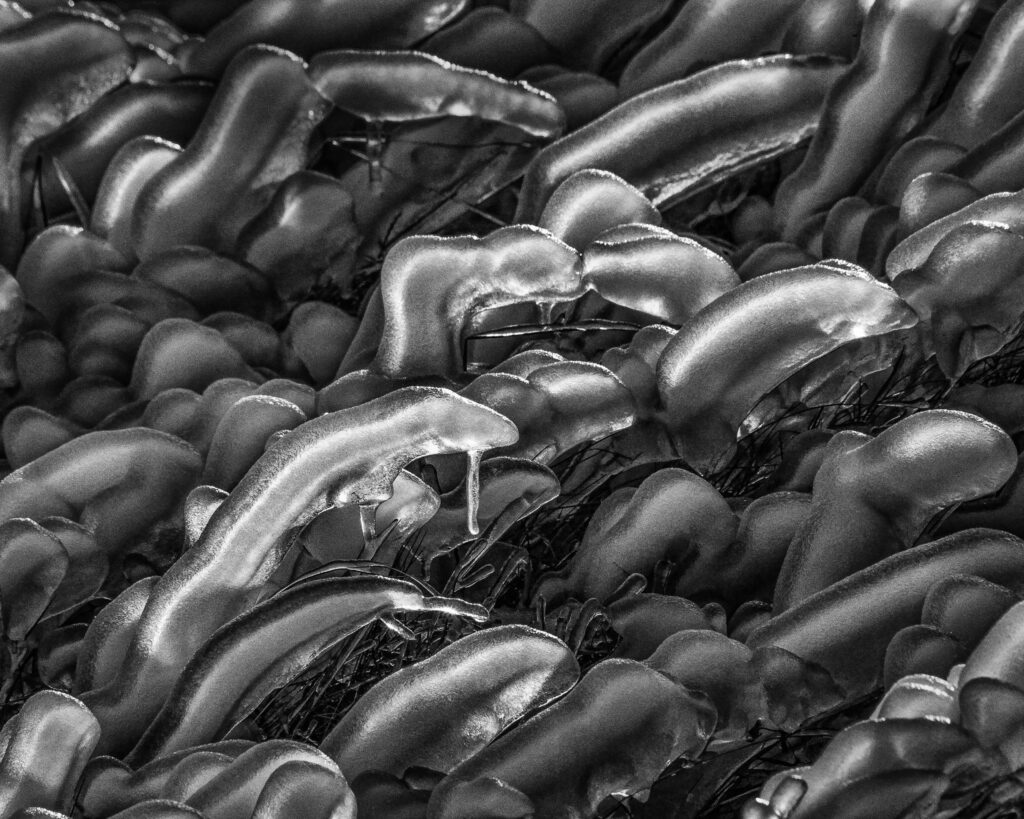 compressed_4..Iceland.Ice-worm.Crowd.Cropped.2.Nov.14.MONO.HR