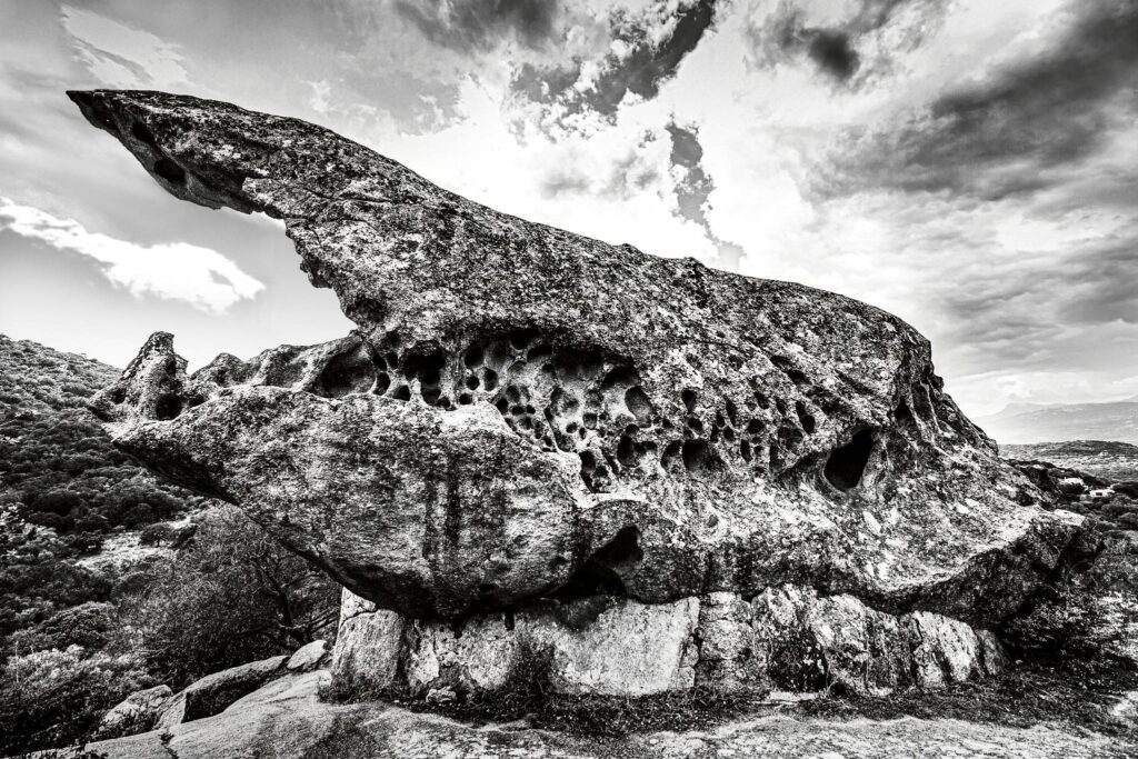 compressed_5.Oriu_di_Canni.HR.edit